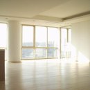 강남-147 이미지