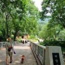 용문사 용유정 화장실 이미지