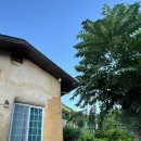 거락우리민박 이미지