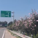 무궁화100리길 이미지