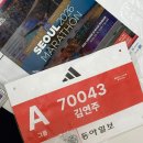 11620-전10-46-2 | 서울마라톤 10km 후기 | 부상 복귀전, 46분 기록