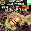 에바다 이미지