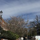 로드빌부동산중개 | 🇬🇧 영국워홀 | 도합 100,000보의 내 방을 찾아서..