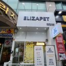 엘리자펫 | 둔산동 무인애견용품매장 &#34;엘리자펫 둔산점&#34;