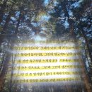 덕은상사 | 좋은 이웃 책 | 김애란 책 후기 | 자본주의에서 우리가 좋은 이웃을 포기한 이유 추천 리뷰 핵심 요약