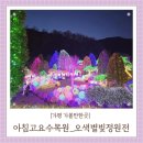 11545-03-15-23 | 가평 가볼만한곳 아침고요수목원 오색별빛정원전 겨울 데이트 명소