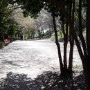 반구대편백하우스
