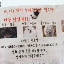 야이노마 이미지