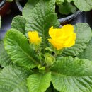 맑은샘농장 이미지