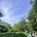 밀미리베이커리 | [양재천 러닝] 5km 코스 가이드 & 이번 주 행사 정보! 아침 운동 후 커피 한 잔의 낙