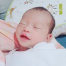 강서건강녹즙 | 강서구 산후조리원 :D 목동굿맘 산후조리원 선택하길 잘한듯!!