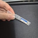 벨라동물병원 | 알러지성 결막염 증상 | 눈 점막 오돌토돌, 환절기 눈 가려움 원인, 올로벨라 점안액 사용 후기