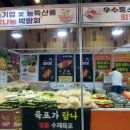 새벽전람