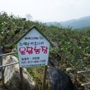 온달농장 이미지