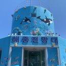 바다에 들어가는데 한 방울도 안 젖어요, 국내 유일 울릉도 천부해중전망대 총정리