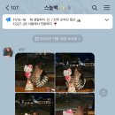 어진농장 | Nov 2nd : end of my birthday 💌!