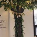 예스예스애견 이미지