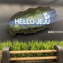 삼영카서비스 | 여행 : &lt;제주도&gt; 우당탕탕 무계획 2박 3일. (카페, 음식점, 숙소, 렌트카)