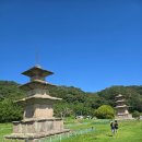 호국슈퍼 | 경주 감은사지3층석탑, 문무대왕릉과 관계, 특징, 답사 후기