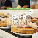 도그민 | [광안리] 초밥 먹고 강아지랑 행복 충전! 용이초밥 광안리점 &amp; 도그민 후기