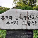 교룡산 복덕봉 기린봉 (남원) 이미지