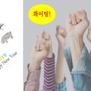 서천꽃돼지 이미지