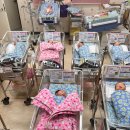 창원경상대학교병원 | 창원 경상대병원 초산모 39주 6일 자연분만 신생아 3.3kg 13시간 진통 고열 출산후기