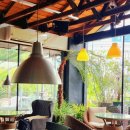 명덕로 | 한적한 지금 가기 좋은 대구 목향장미 카페 큐바이쿼트 [실시간]