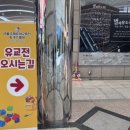 대정읍 영어교육도시내A-20블럭 | 2026 코엑스 유교전 방문 후기｜입장·주차·과학특공대 전집 구매까지