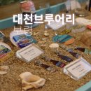 봉수아피자 충남보령점 | 양조장 있는 충남 보령 맛집 대천브루어리, 이국적인 보령 가볼만한곳 추천