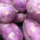 인동초등 병설 이미지