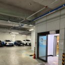 댕그르르 | 평택 | 지제동 애견카페 • 강아지 천국이었던 “댕그르르”