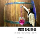 환타지아게임장 | 광양 가볼만한곳 와인동굴 실망후기 꼭 보고가세요
