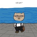 더유 이미지