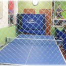 탁구교실B 이미지