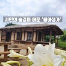 용아