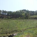 고지농장 이미지