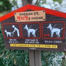 임항선그린웨이(북마산역) 이미지