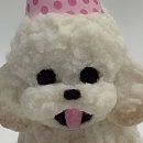 댕글로리 이미지