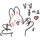 개나리 애견유치원 이미지