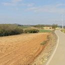 조은날공인중개사사무소 이미지