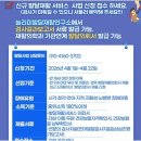 성인과 아이 모두를 위한 포항언어치료, 늘리미발달재활연구소에서 시작하는 맞춤형 변화 이야기