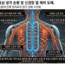 에너지 독립 후편 이미지