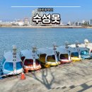 장애인전동보장구급속충전기(가야권) | 대구광역시 수성못 수성유원지 산책하기 좋은 곳