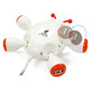 허브와풍뎅이 이미지