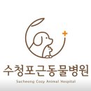 수청포근동물병원 이미지