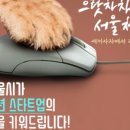청년디자인광고 이미지