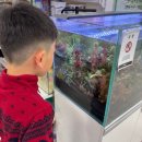 이마트 월배점 이미지