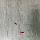 에듀포레 푸르지오2차 | 전남 나주 목포 무안 오룡에듀포레푸르지오 2차 강마루 찍힘보수 강마루 메꿈보수 강마루수리