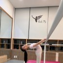 렉스플라이 이미지